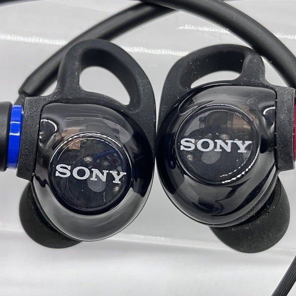 【中古】IER-M500 BZ ブラック【秋葉原】