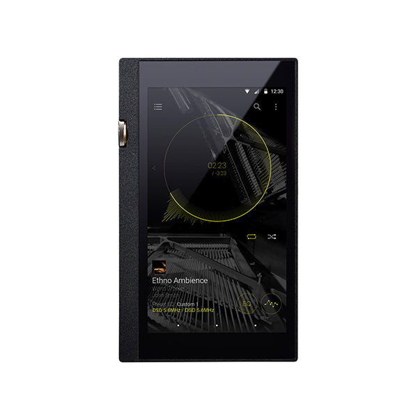 DP-X1