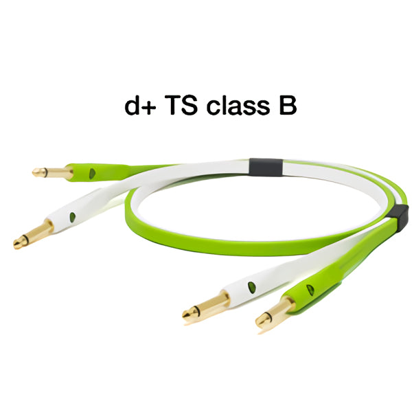 d+TS class B