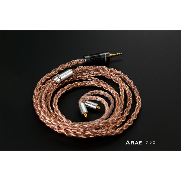 Arae 2PIN AK2.5mm