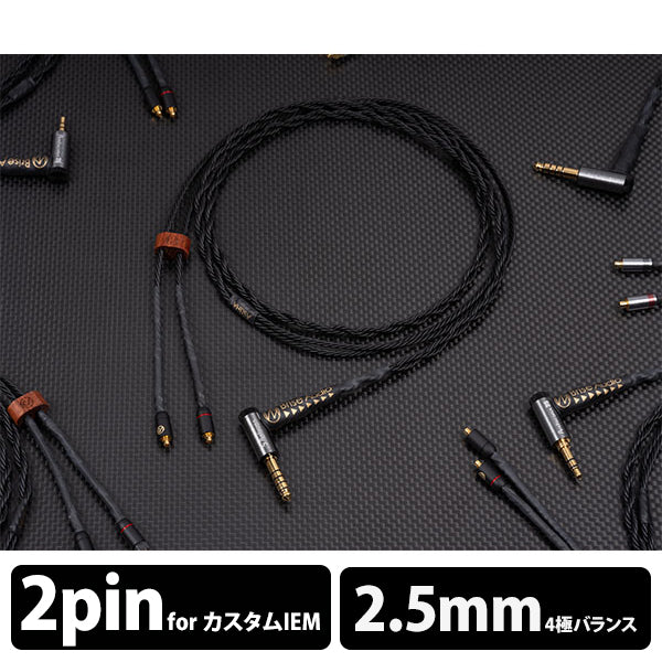 ASUHA Ref.2 4極Φ2.5mmプラグ-2PIN 【ASUER2L4252P】