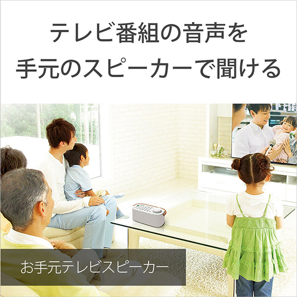 SRS-LSR200 お手元テレビスピーカー
