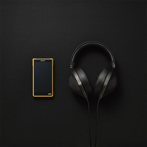 NW-WM1ZM2