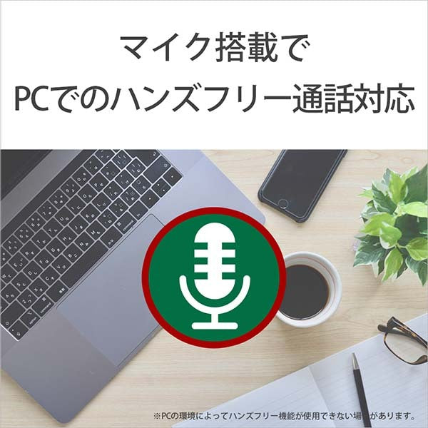 WI-C100