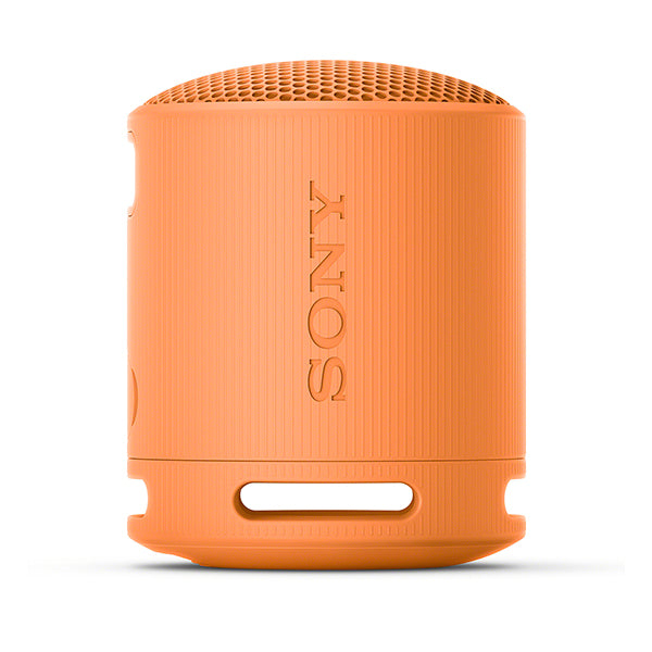 SRS-XB100