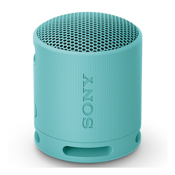 SRS-XB100