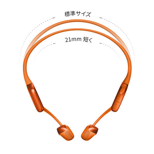 OpenRun Pro 2 Mini