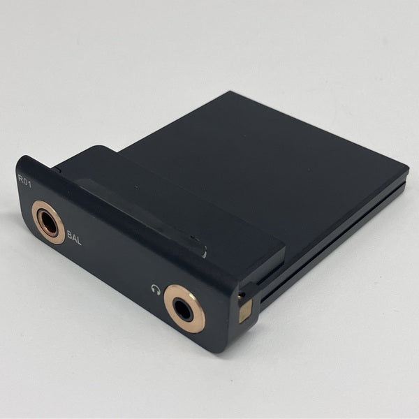 【中古】R01 オーディオマザーボード・R-2Rラダー型DAC搭載【秋葉原】