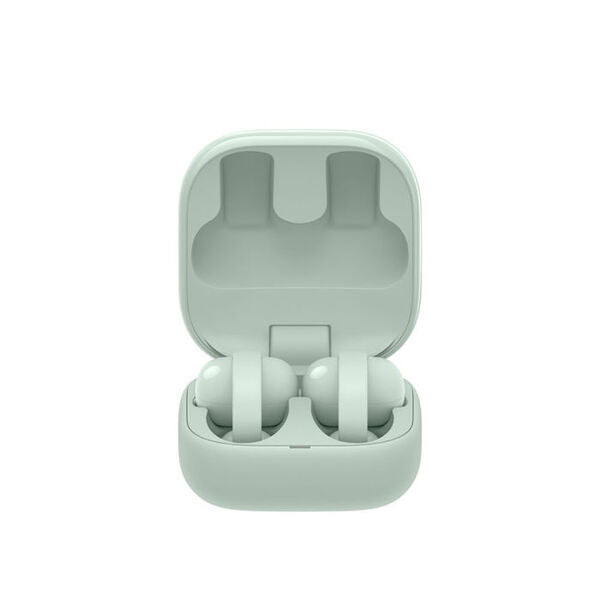 LinkBuds Clip