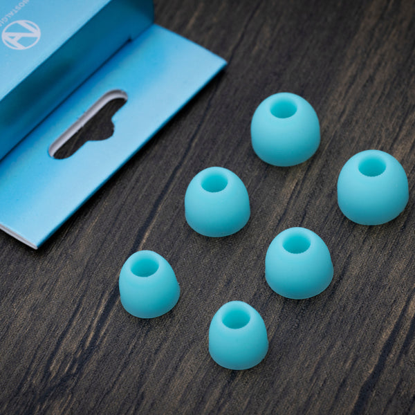 XWB Eartips
